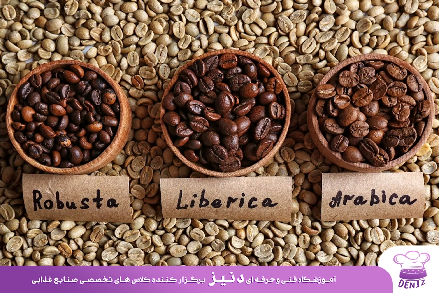 انواع دانه قهوه پرکاربرد