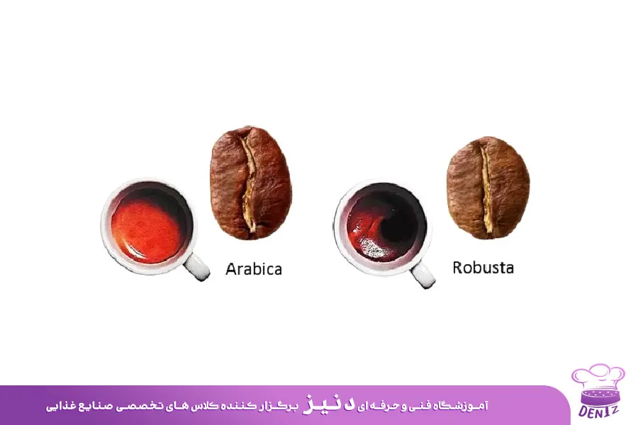 تفاوت قهوه عربیکا و روبوستا در طعم و عطر