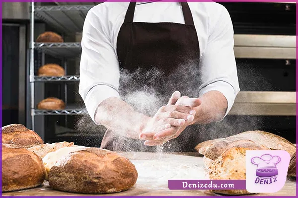 معرفی شغل شاطری