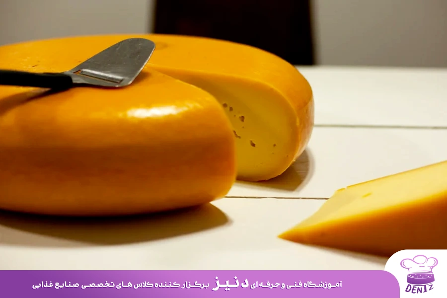 مونتری جک