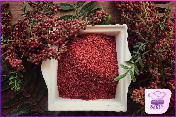 سماق، یکی از محبوب ترین چاشنی ها