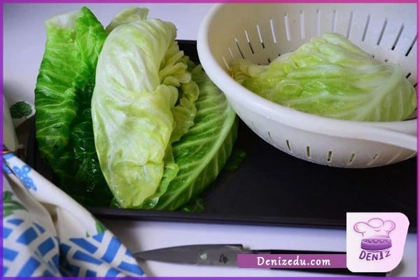 استفاده از برگ کاهو یا کلم