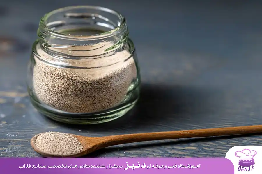خمیرمایه خشک فوری